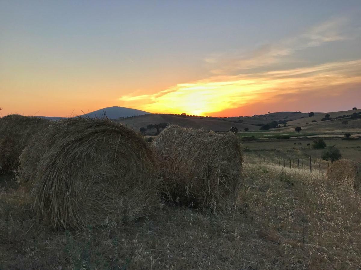 Macchiabuia Bed & Breakfast
